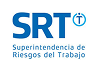 srt 1